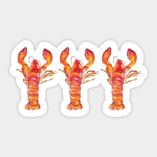 3 dancing lobsters - food illustration Sticker